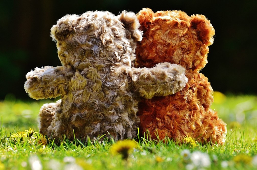 Rituals that sustain and nurture relationships:  Honoring Ed Schein