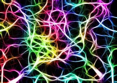 quantum paradigm